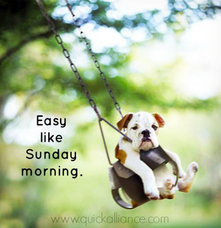 Illustration for article titled Happy Sunday AM!
